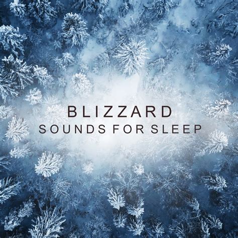 blizzard white noise|night blizzard for sleeping.